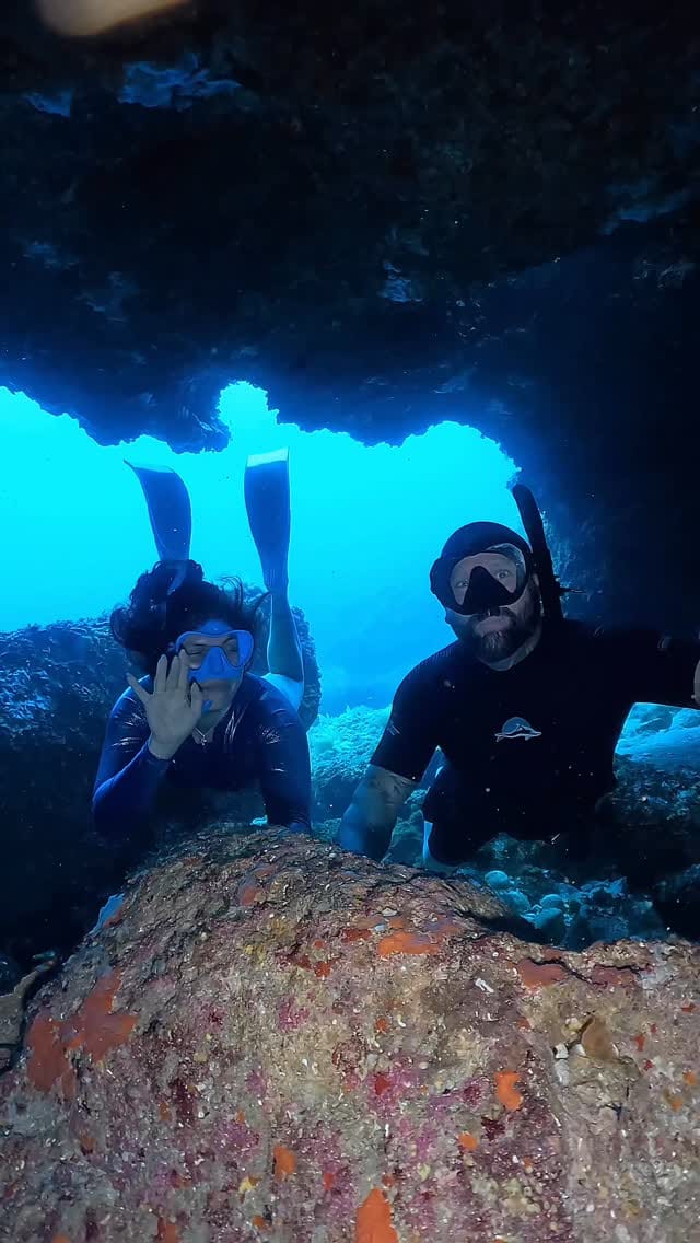 Post 8 by Gabriela Fleck on Instagram (video)