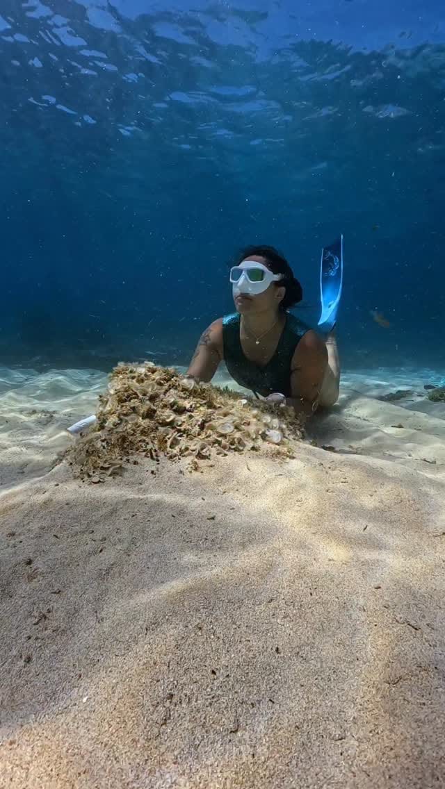 Post 3 by Gabriela Fleck on Instagram (video)