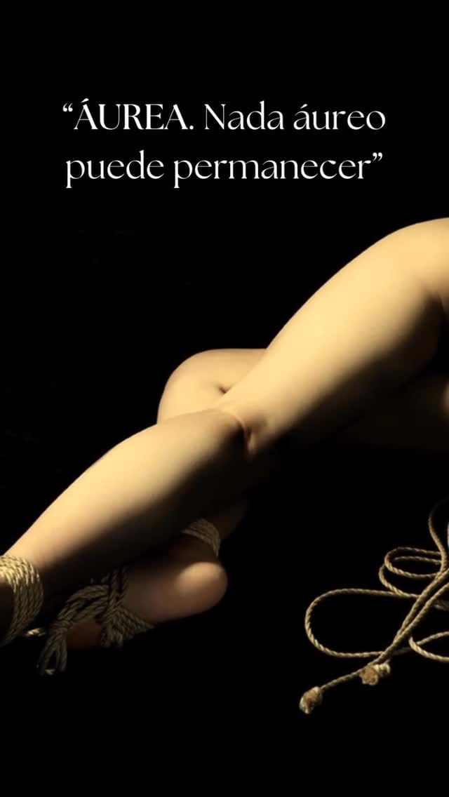 Post 1 by Luis Gonzalez Palma on Instagram (video)