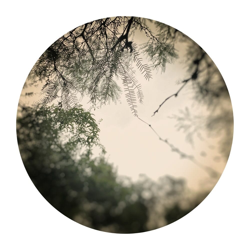 Post 2 by Luis Gonzalez Palma on Instagram (carousel)