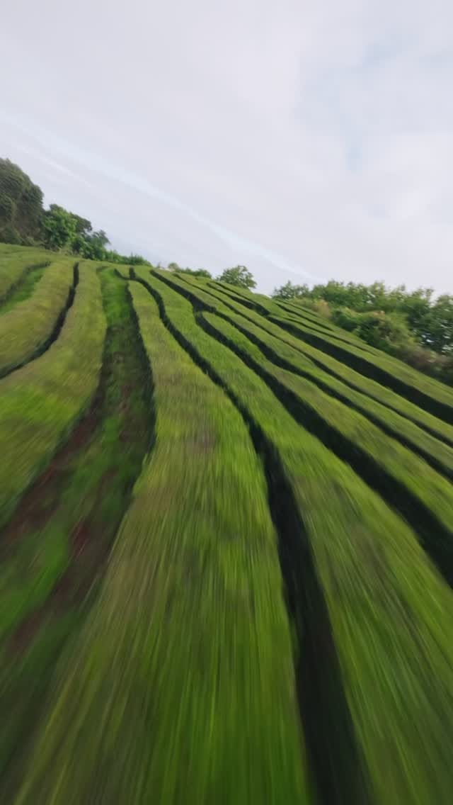 Post 5 by Air Shootings on Instagram (video)