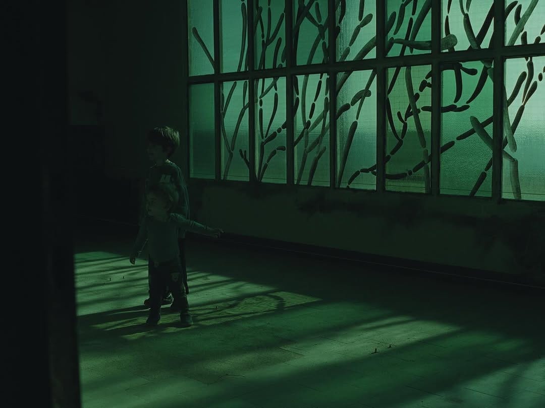 Post 9 by Silvio Malvestio | Cinematographer on Instagram (carousel)