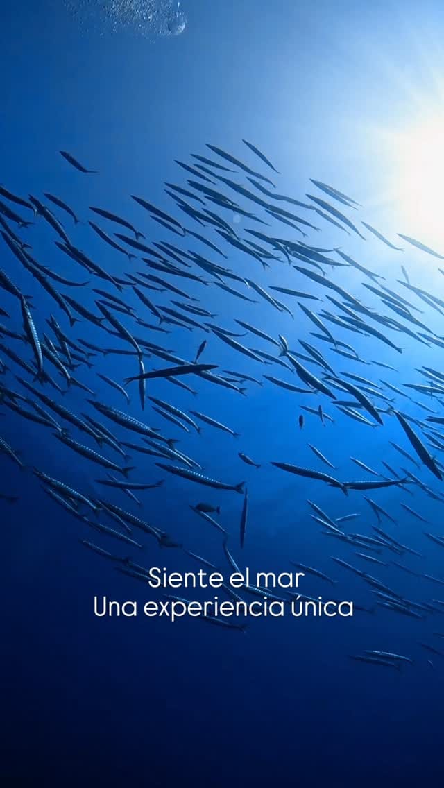Post 5 by Ferran Sanchez on Instagram (video)