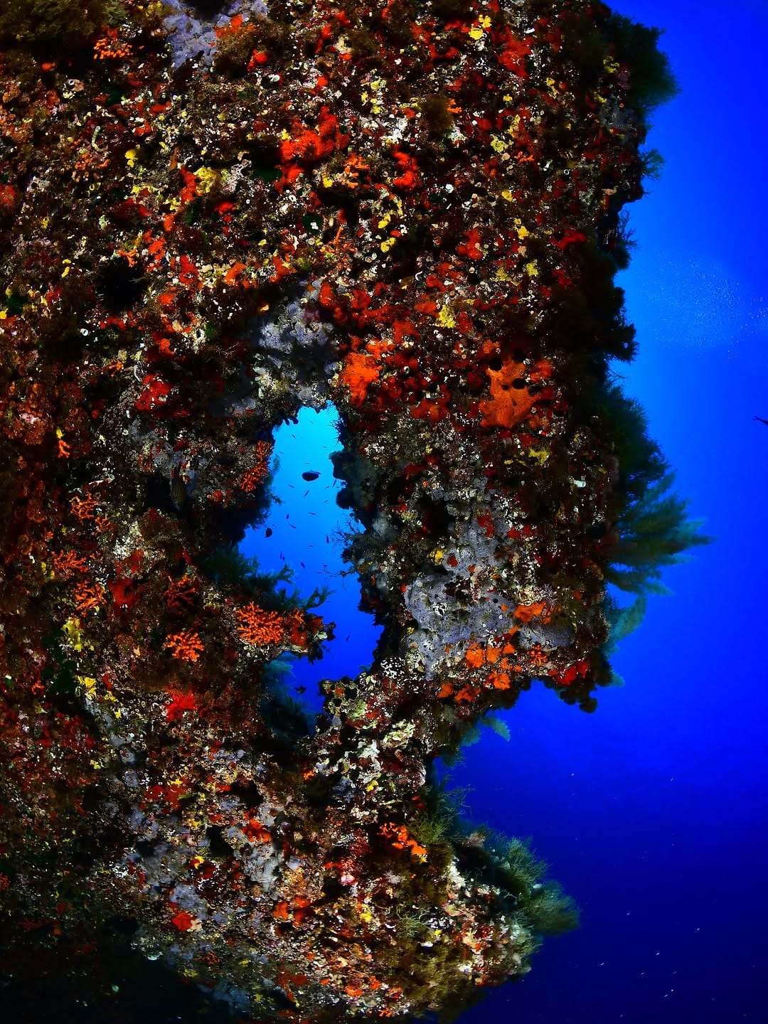 Post 6 by Ferran Sanchez on Instagram (image)