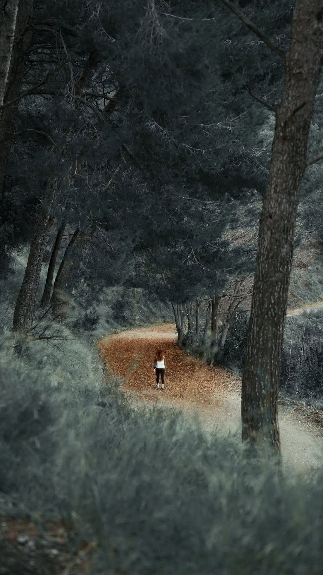 Post 1 by Maria Kobtseva on Instagram (video)