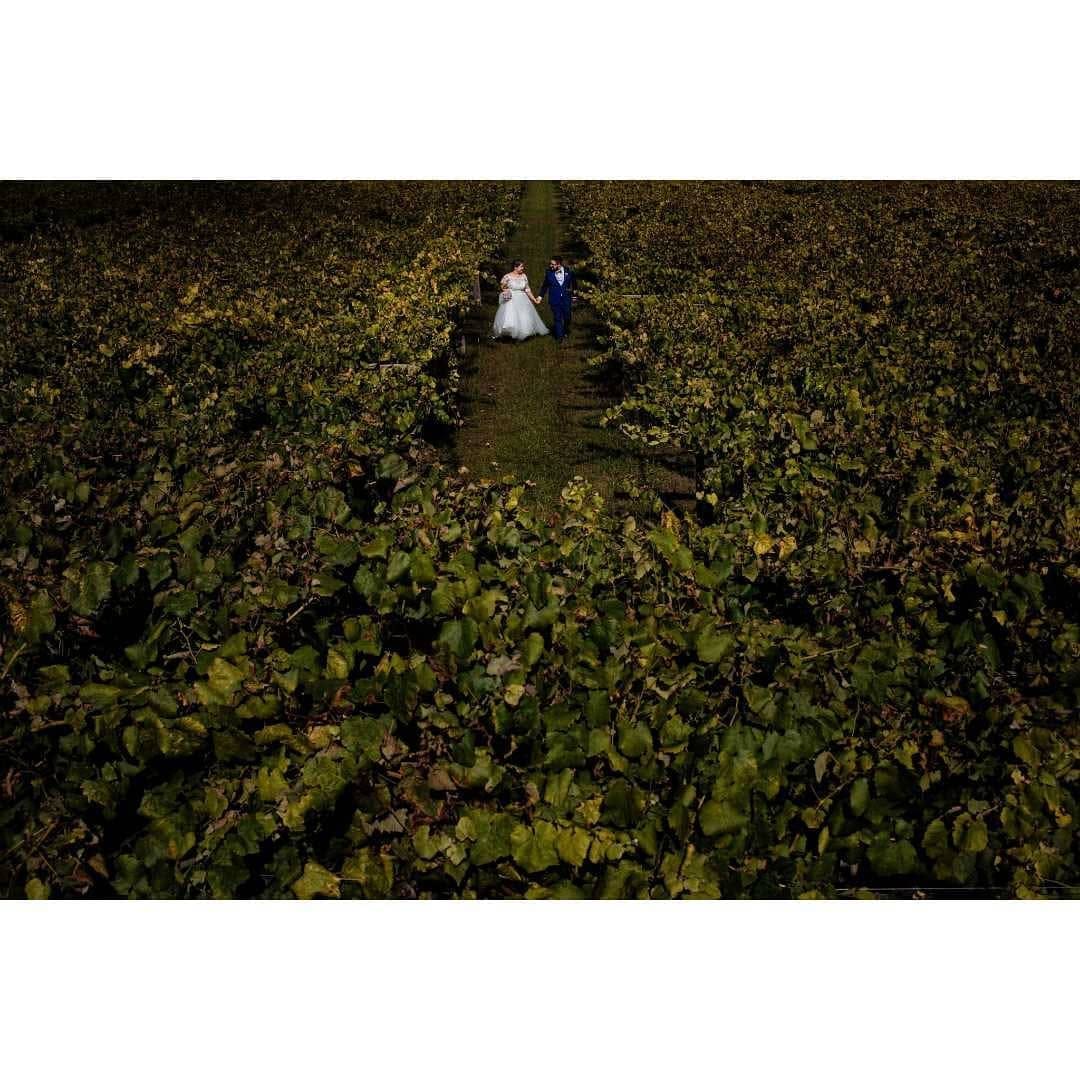 Post 7 by FOTÓGRAFOS VAGALUME on Instagram (image)