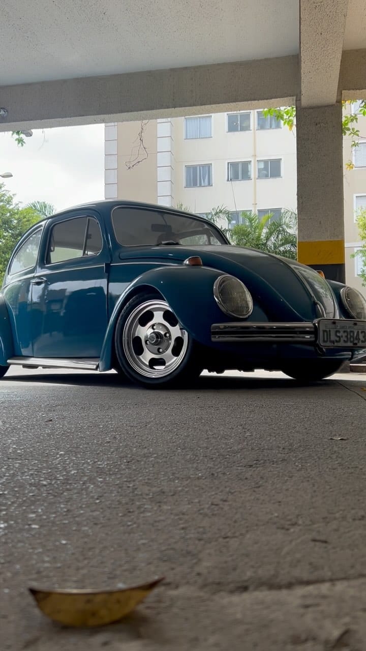 Post 8 by Renato Bolzan on Instagram (video)
