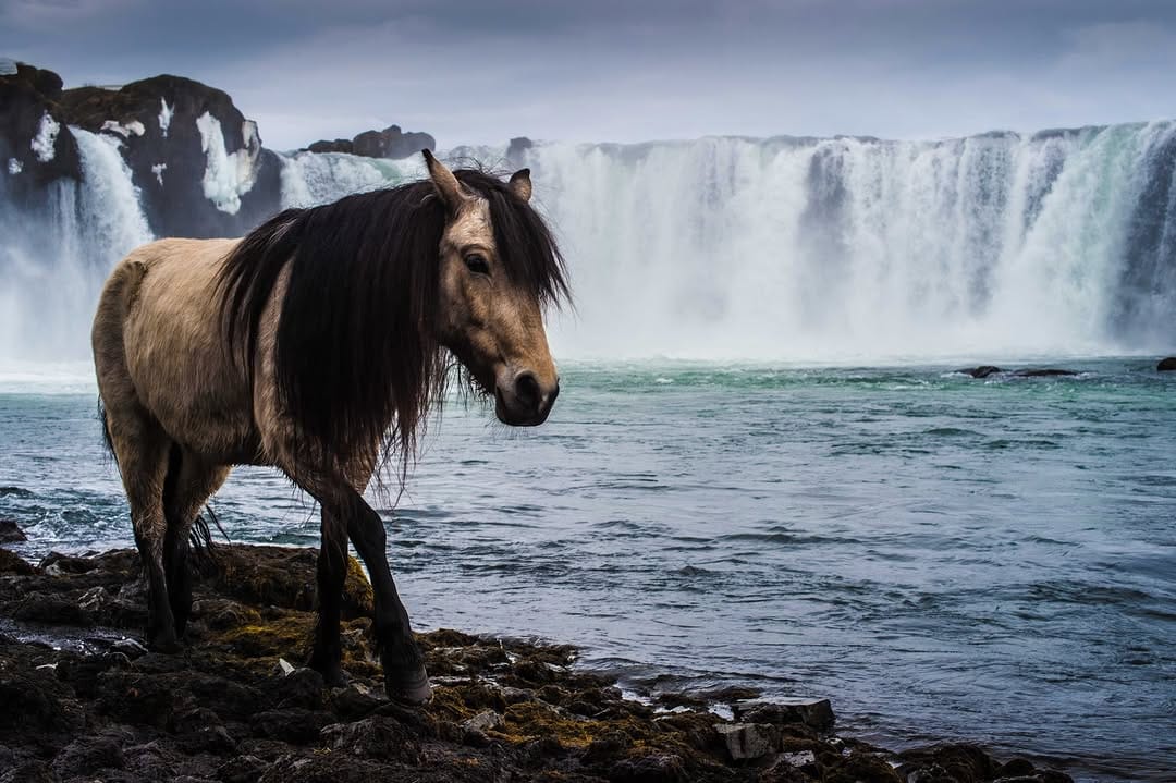 Post 3 by Oli Riley on Instagram (image)