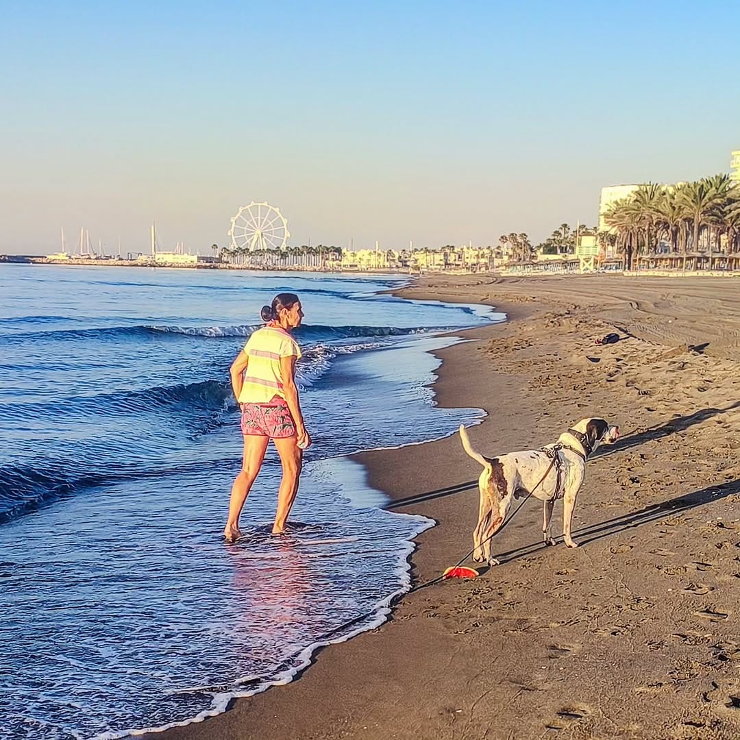 Post 2 by Lola on Instagram (image)