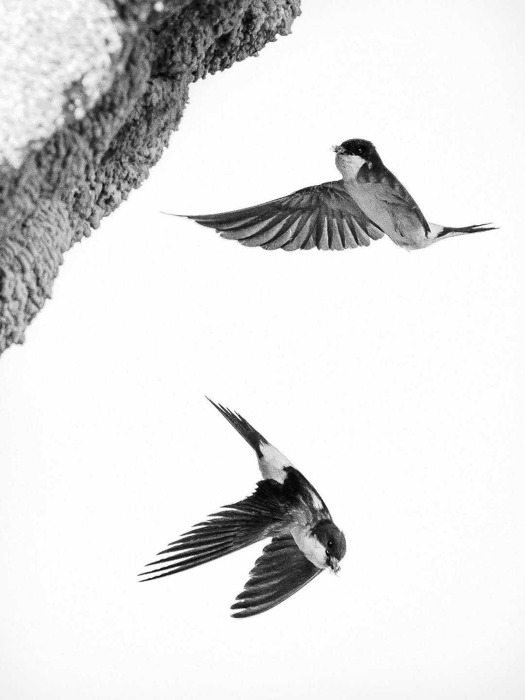 Post 4 by Adrián Ordieres on Instagram (image)