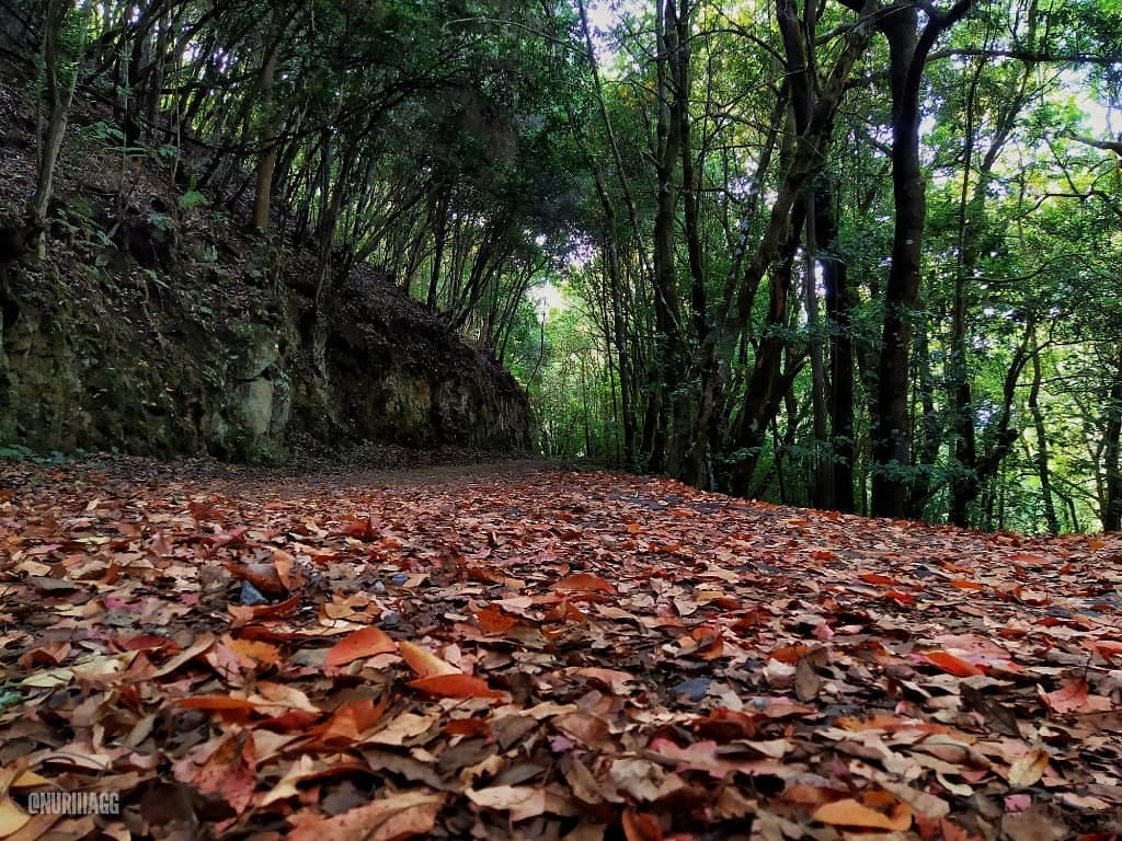 Post 5 by Nuria García on Instagram (image)