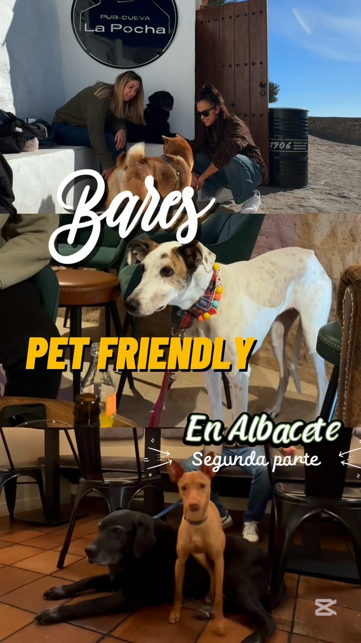 Post 8 by Juan, Raquel, Nico 👶🏼 Lola 🐕‍🦺 Canela 🐕 on Instagram (video)