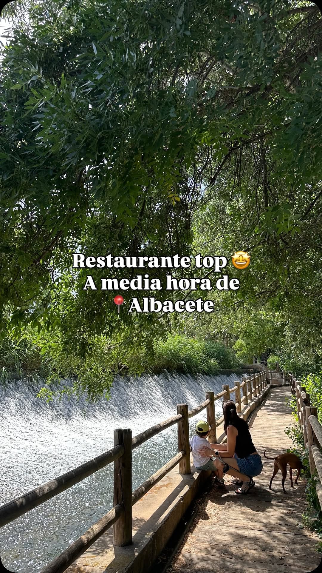 Post 1 by Juan, Raquel, Nico 👶🏼 Lola 🐕‍🦺 Canela 🐕 on Instagram (video)