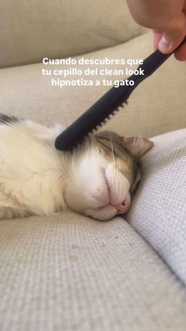 Post 3 by Esther reeds on Instagram (video)