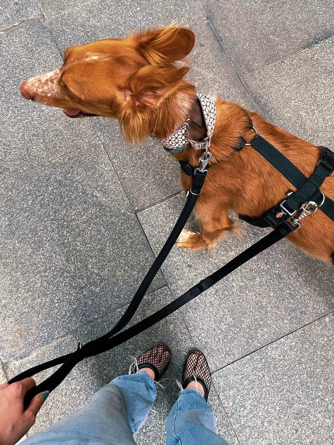 Post 2 by Cass ☻ on Instagram (carousel)