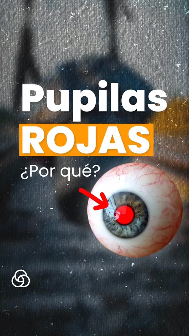 Post 8 by Safoign | Impresión y diseño gráfico on Instagram (video)
