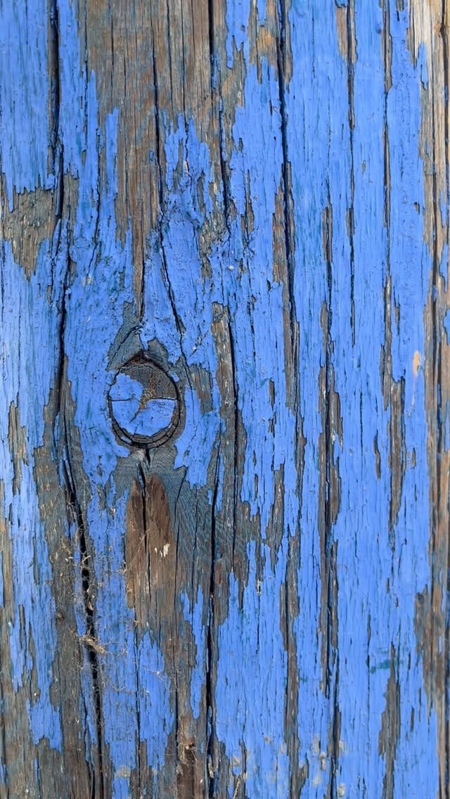 Post 5 by Antonio Barahona on Instagram (video)