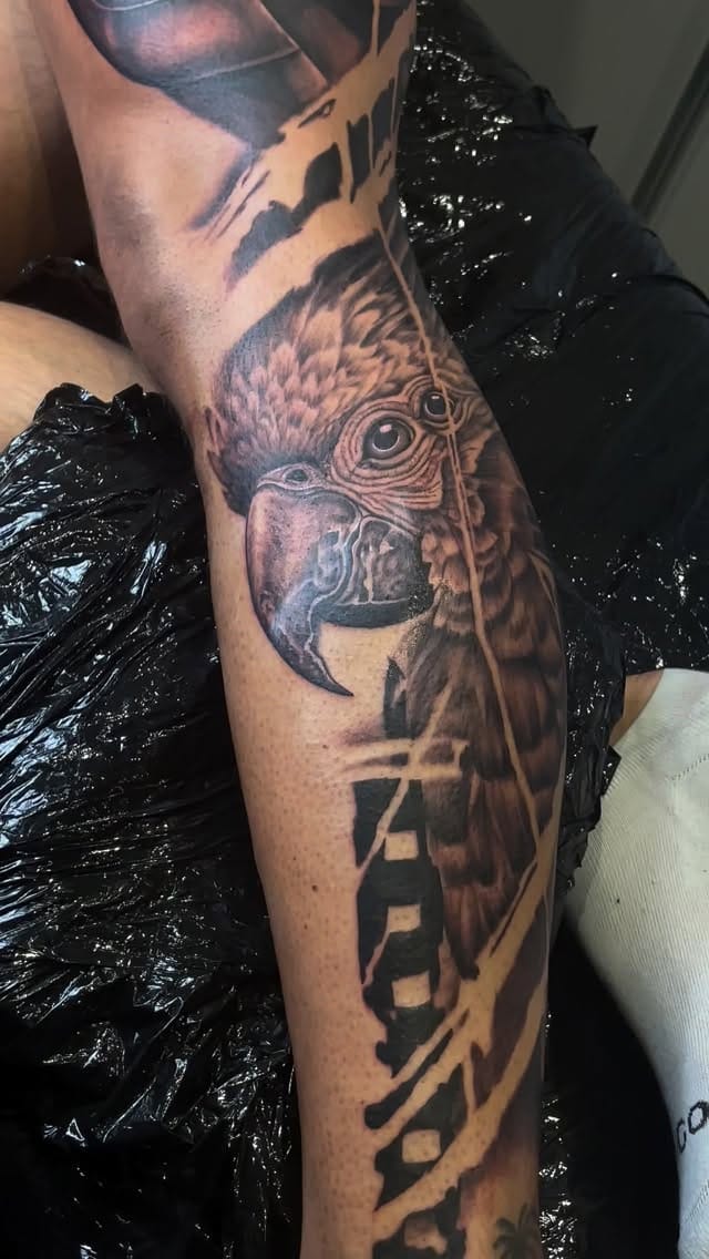 Post 1 by ALFREDOTATTO on Instagram (video)