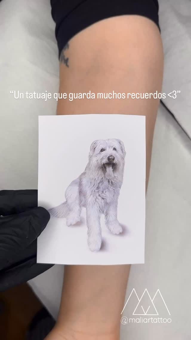 Post 7 by Mali Art Tattoo | Fine Line Barcelona on Instagram (video)