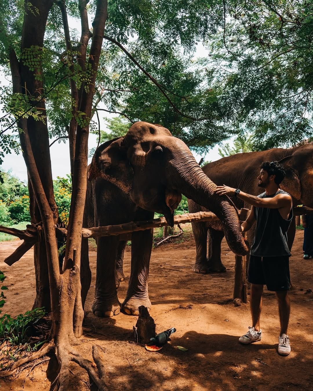Post 8 by Alessandro Guiotto on Instagram (carousel)