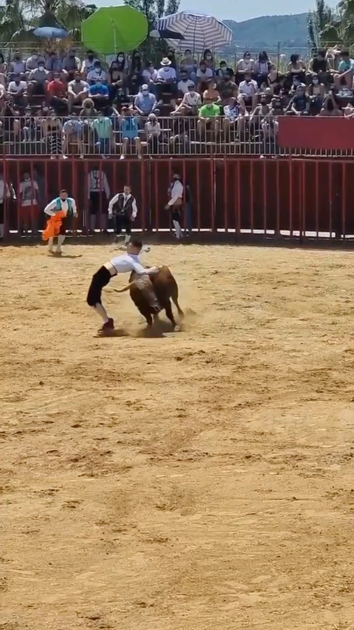Post 10 by Jose Pascual Hernández “Josepa” on Instagram (video)
