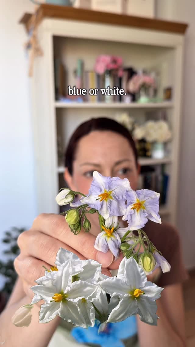 Post 7 by Ana Lirio on Instagram (video)