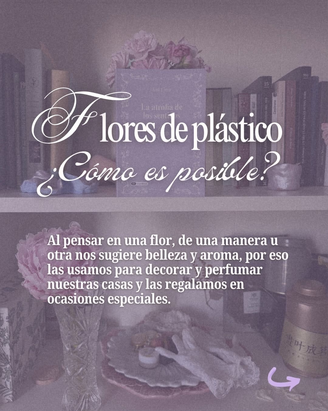 Post 3 by Ana Lirio on Instagram (carousel)