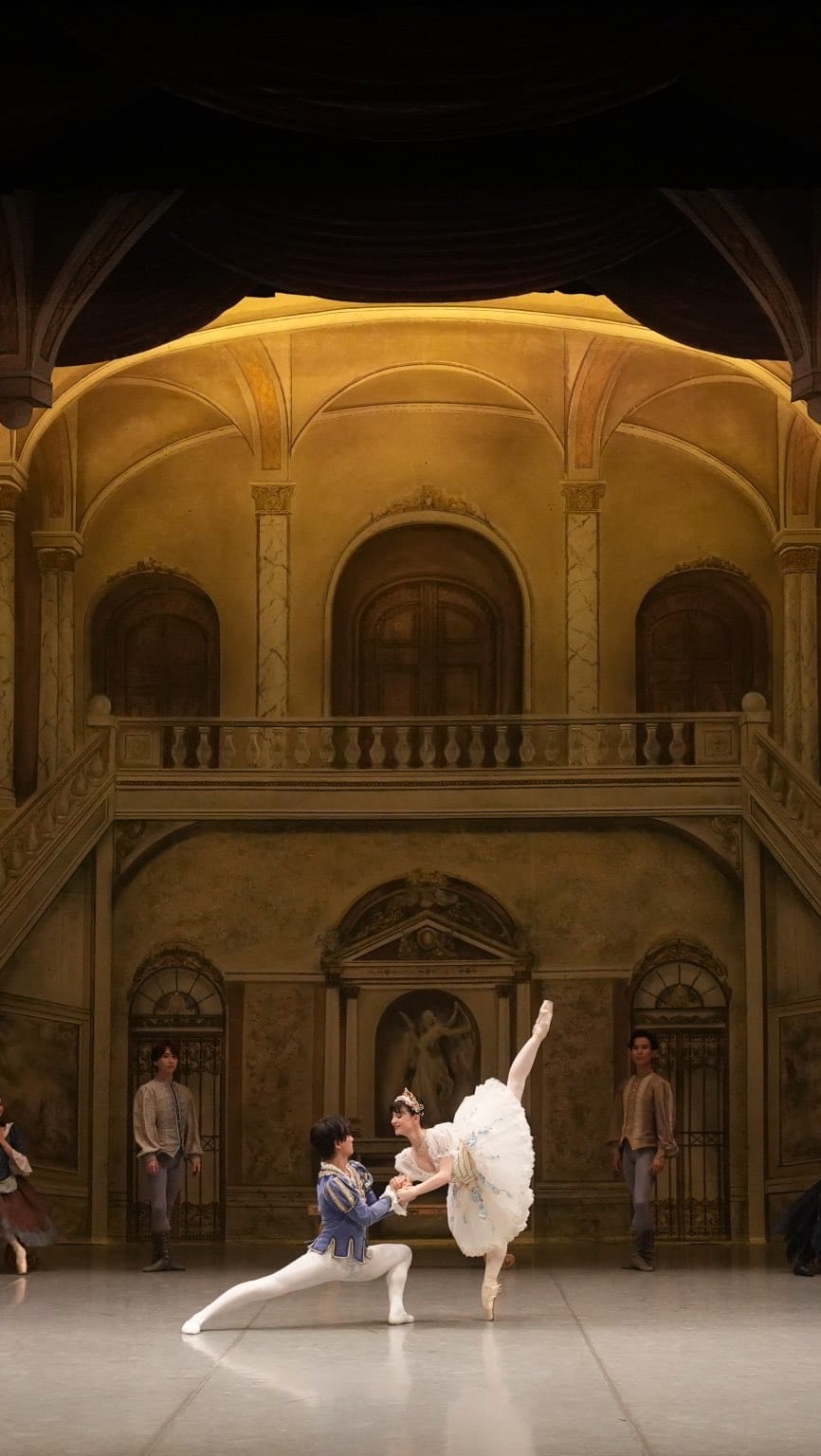 Post 9 by ネレア | THE BALLET SHOW on Instagram (video)