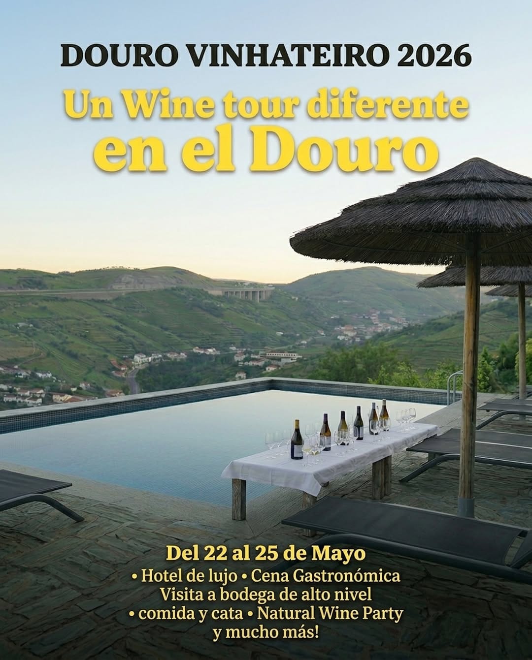 Post 8 by Uvepositivo-Vino Consciente y Wine Tours 🌱 on Instagram (carousel)