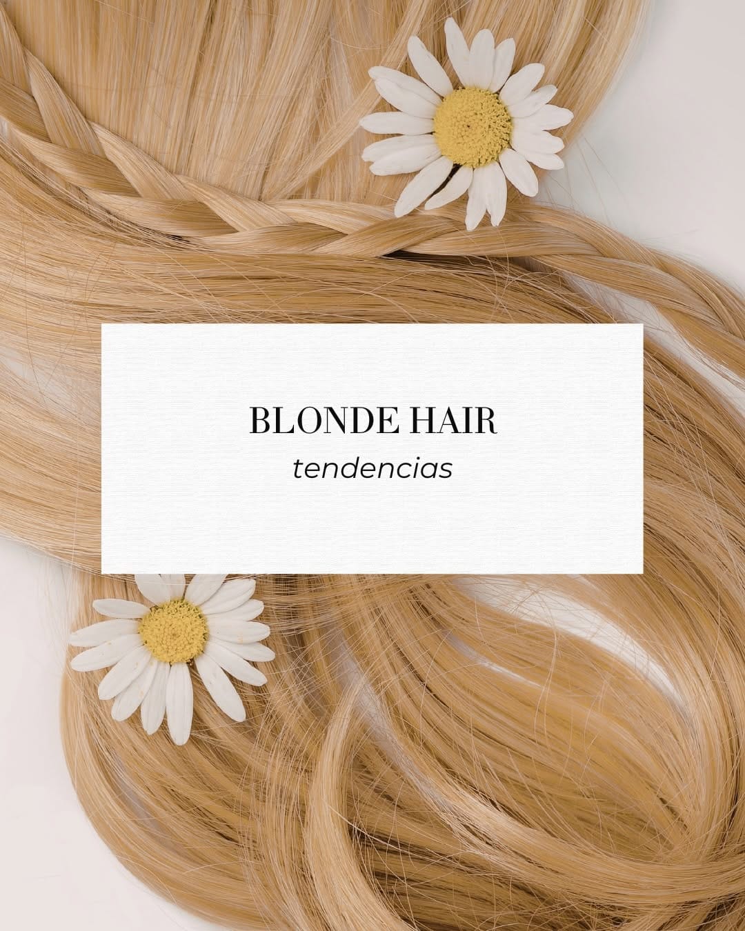 Post 6 by MONTENEGRO BEAUTY | Salon de Belleza on Instagram (carousel)