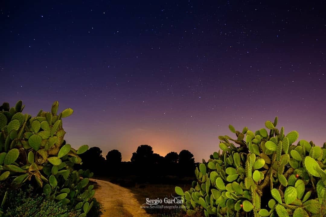 Post 8 by Sergio Garcan ✳️ on Instagram (image)