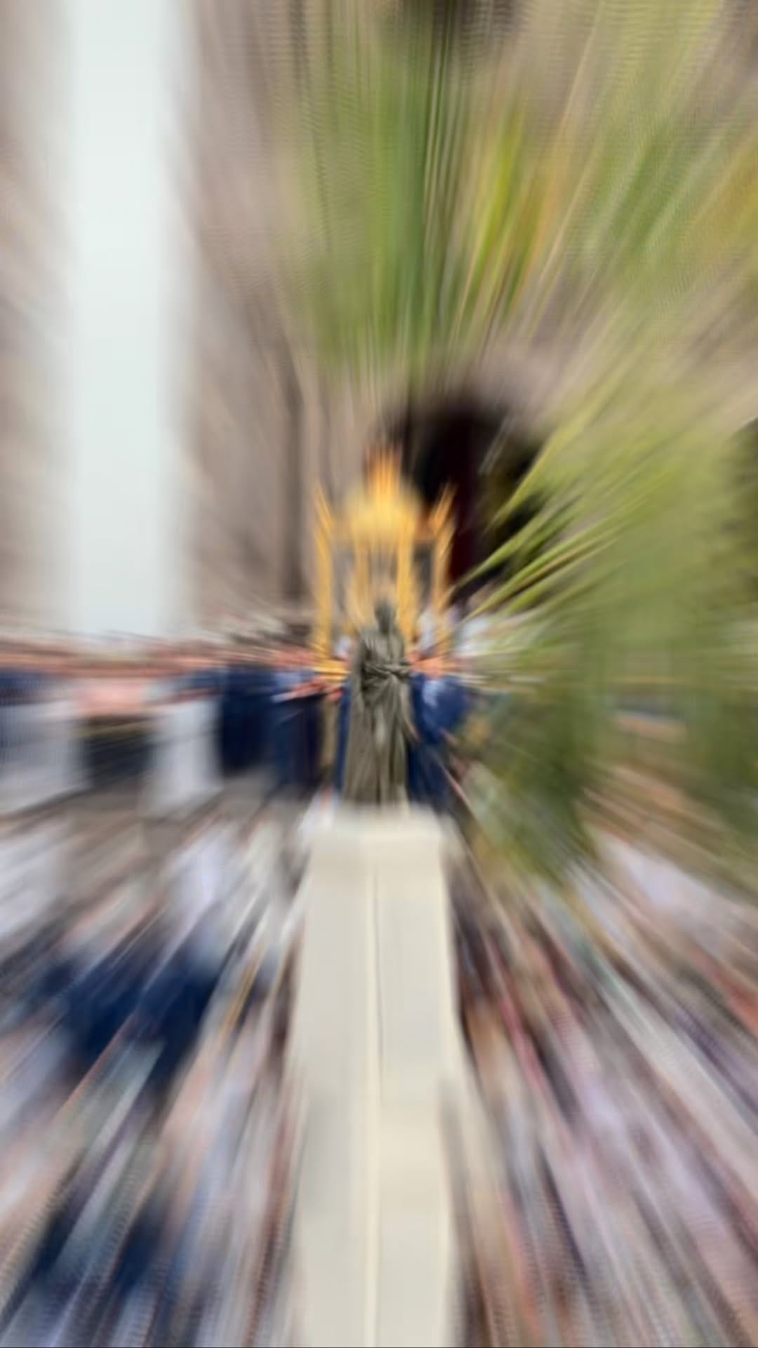 Post 5 by Bajada de la Virgen de Las Nieves on Instagram (video)