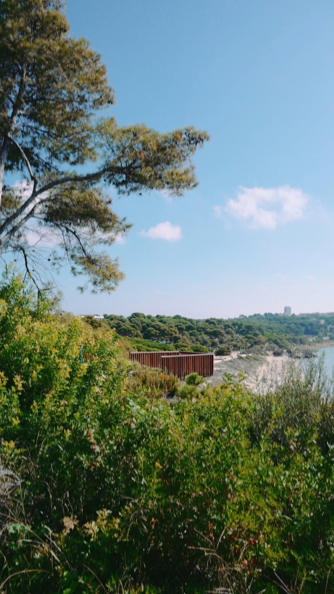 Post 7 by Astrid Torrente | Violinista on Instagram (video)