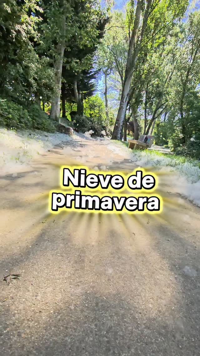 Post 7 by Abilio Estefanía Castellanos / ElLioDeAbi on Instagram (video)