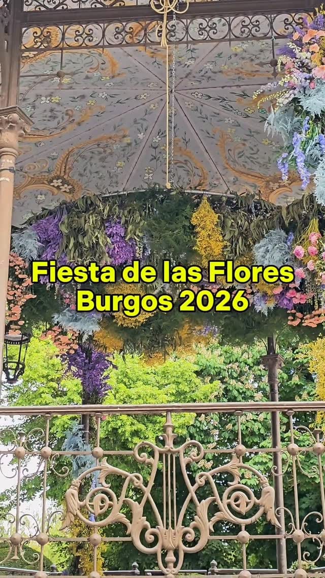 Post 10 by Abilio Estefanía Castellanos / ElLioDeAbi on Instagram (video)