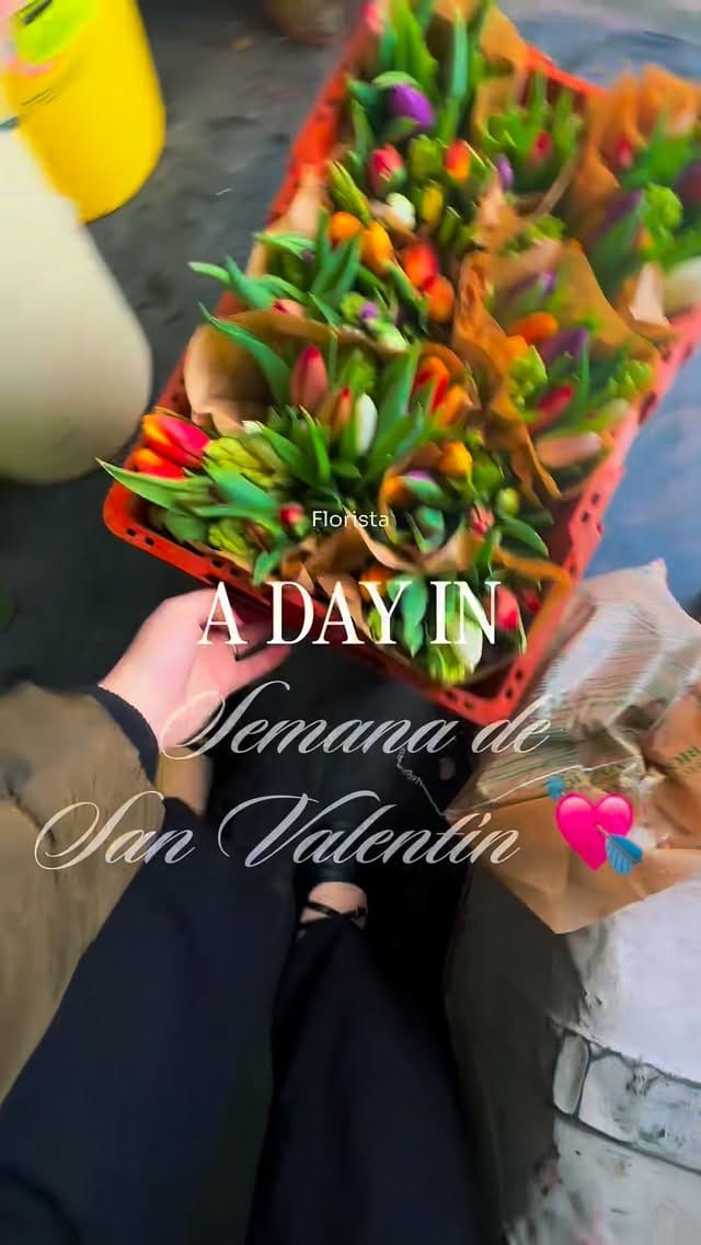 Post 6 by Mariam Rubio on Instagram (video)