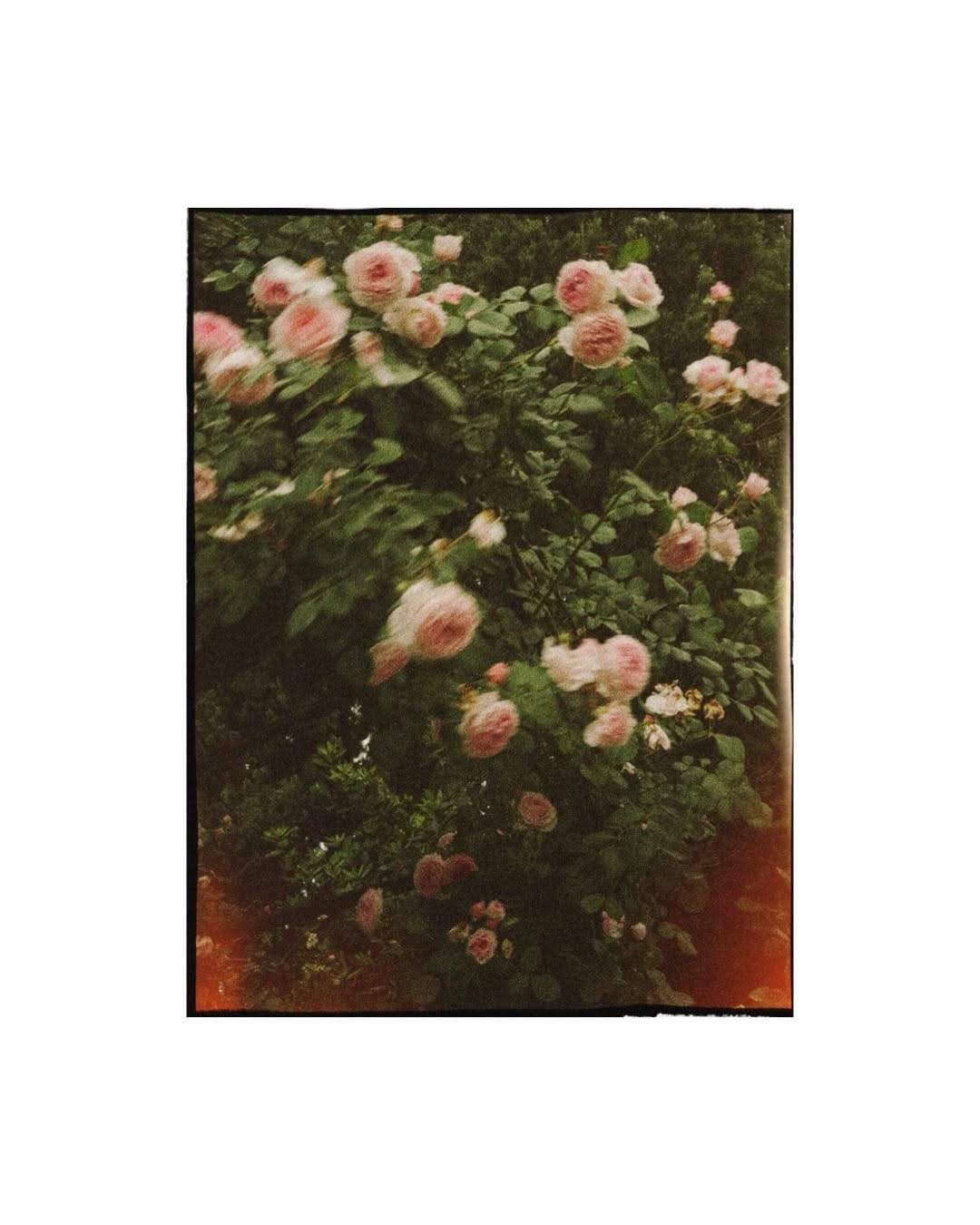 Post 7 by Mercedes Pérez on Instagram (carousel)