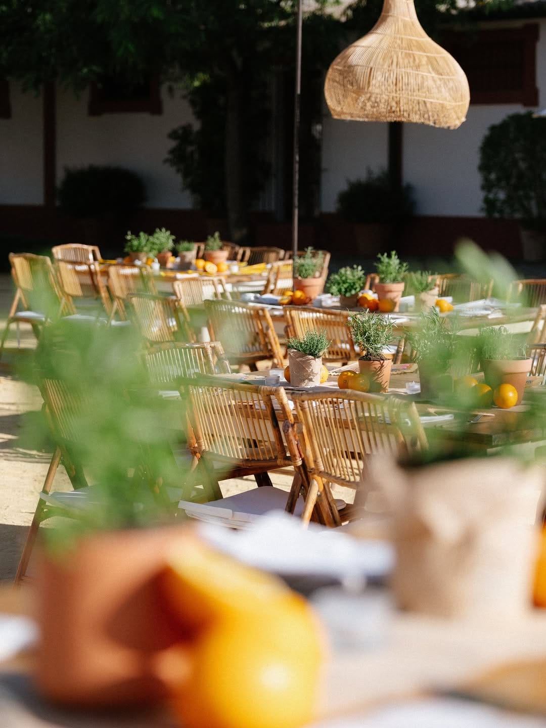 Post 4 by Hacienda de Oran on Instagram (carousel)