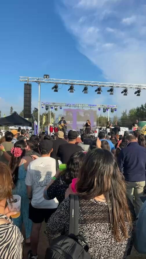 Post 7 by Festival Chelero Sanguchero Limache on Instagram (video)