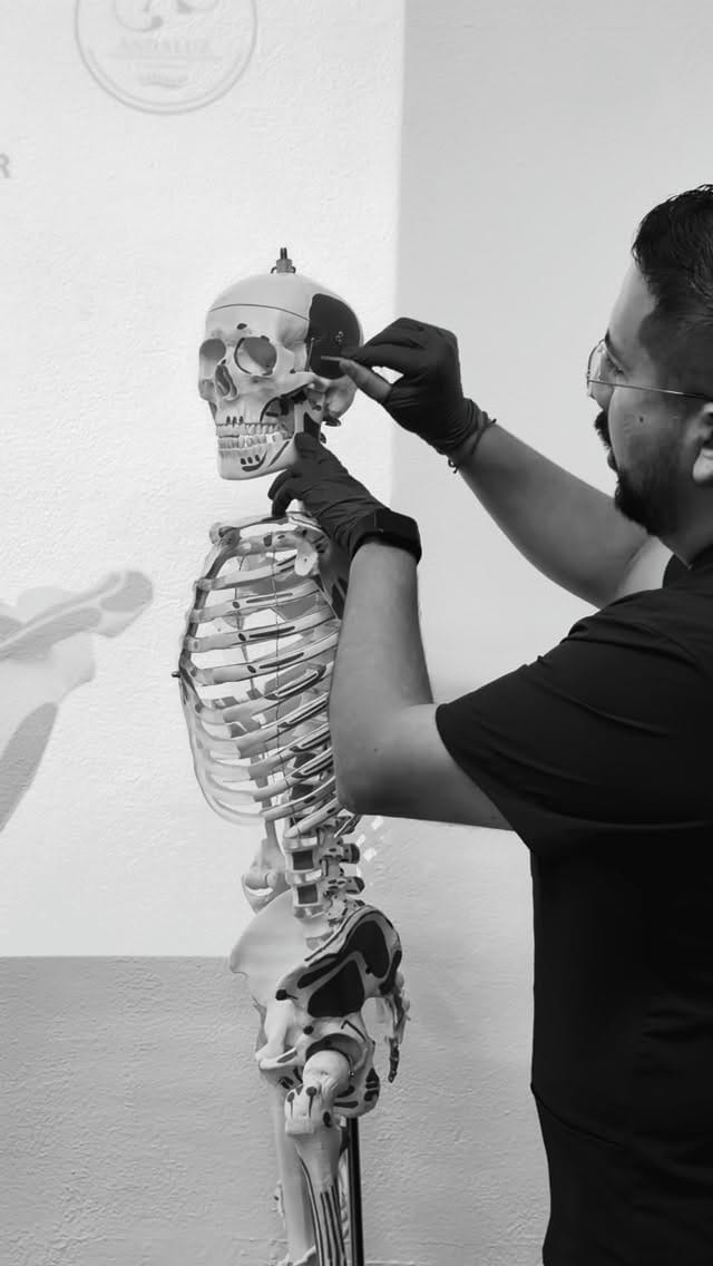 Post 3 by LFT.  Juan Santamaria | Especialista en ecointervencionismo on Instagram (video)