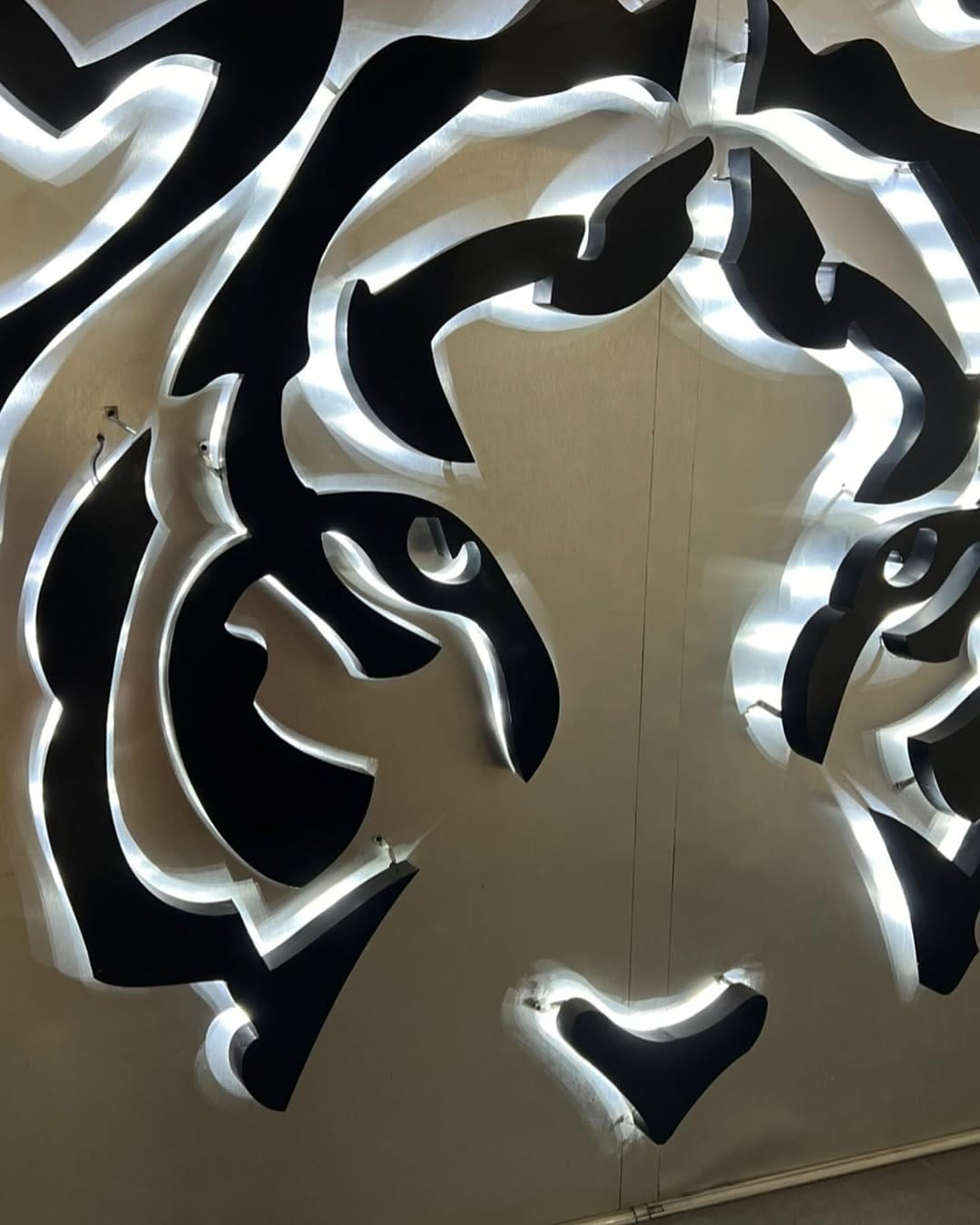 Post 10 by LFT.  Juan Santamaria | Especialista en ecointervencionismo on Instagram (carousel)