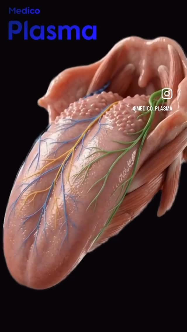 Post 3 by Adriana Pop - Logopeda on Instagram (video)