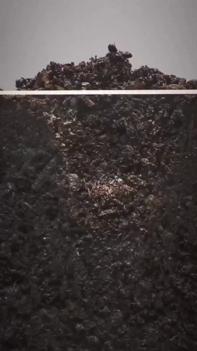 Post 8 by Mónica Lestón Domínguez on Instagram (video)