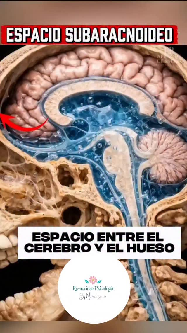 Post 9 by Mónica Lestón Domínguez on Instagram (video)
