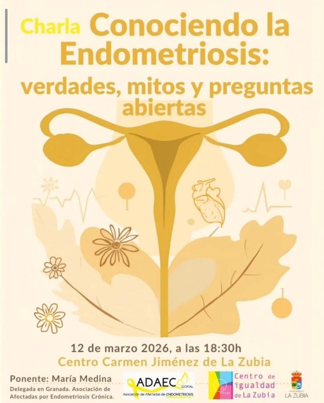Post 4 by 🩸ENDOFEM🩸Salud Hormonal & Uroginecológica on Instagram (carousel)