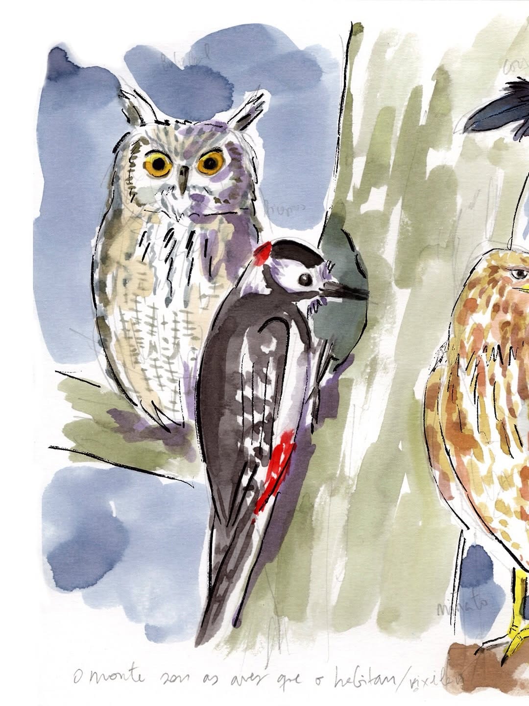 Post 3 by Clara Cerviño | naturaleza arte & ilustración on Instagram (carousel)