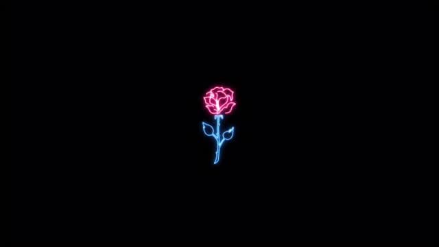 Post 6 by BENJA on Instagram (video)