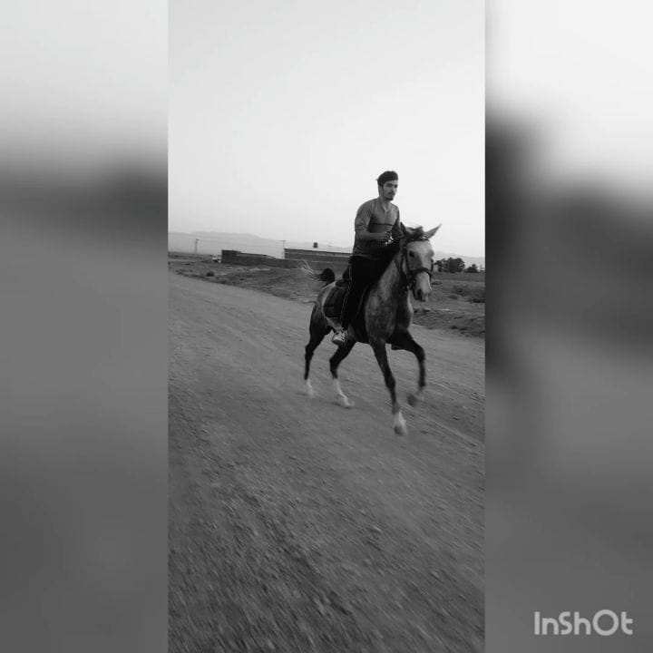 Post 10 by Ahmad Delavari | احمد دلاوری on Instagram (video)