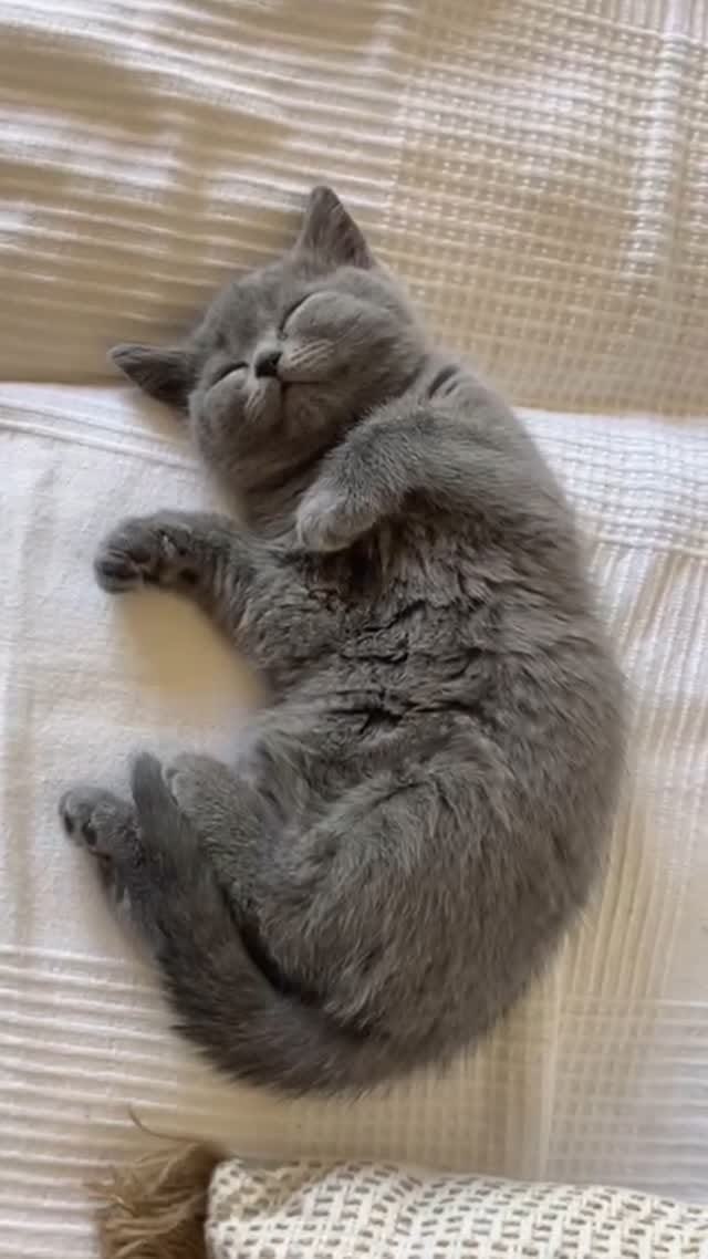 Post 2 by D͙ιиαмιтα on Instagram (video)