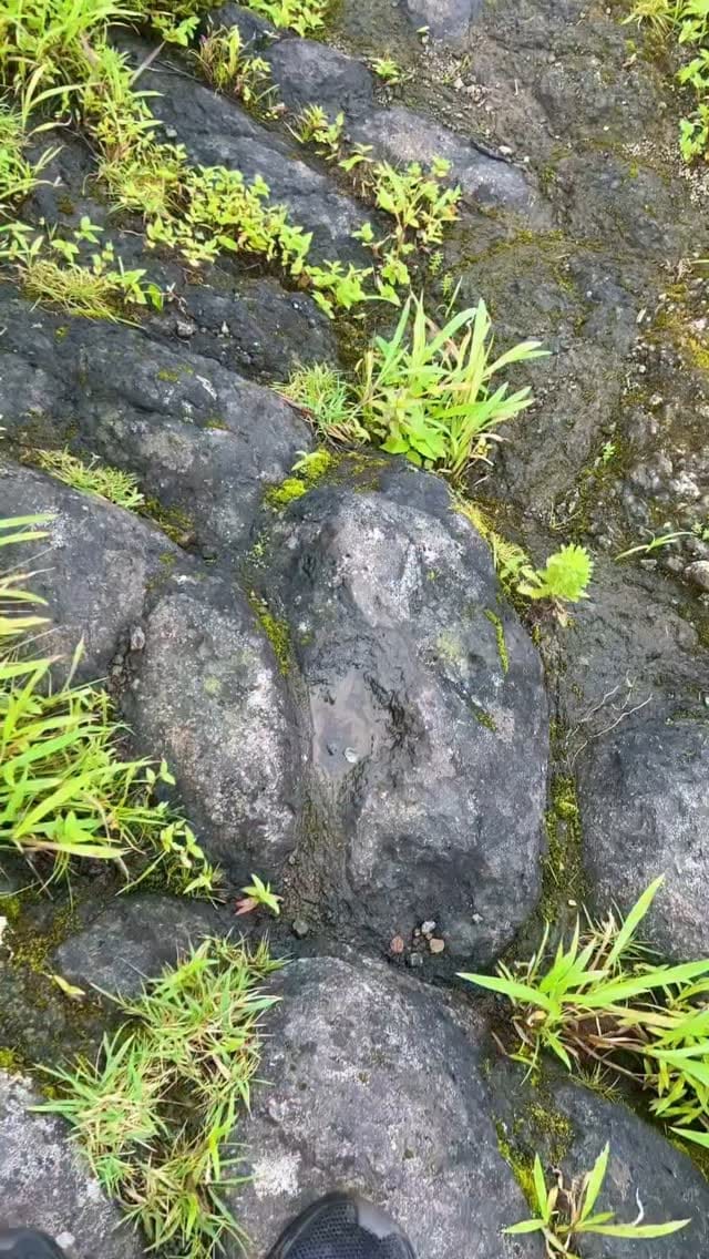 Post 8 by @shahezad9010 on Instagram (video)